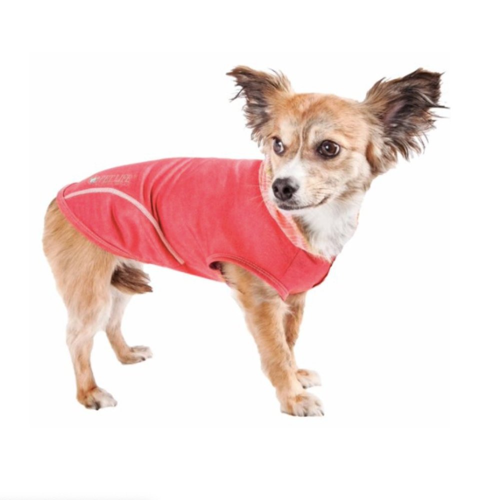 Performance Hoodie Dog Tee